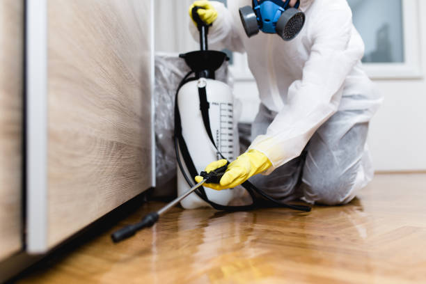Best Pest Inspection Near Me  in Poplar Grove, IL