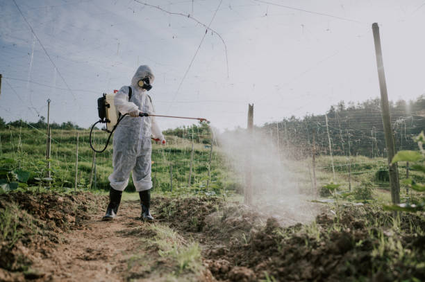 Pest Control Cost in Poplar Grove, IL