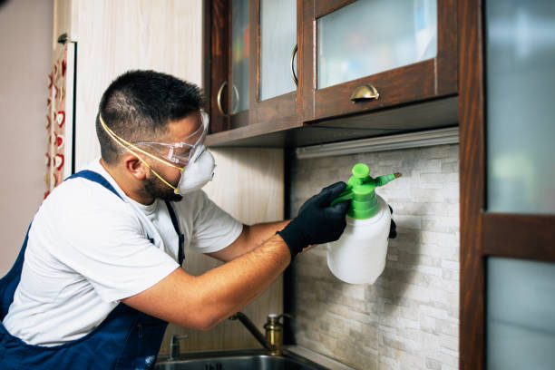 Best Best Pest Control Companies  in Poplar Grove, IL