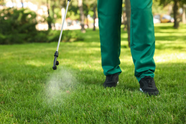 Best Affordable Pest Control Services  in Poplar Grove, IL