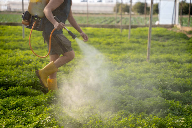 Best Local Pest Control Services  in Poplar Grove, IL