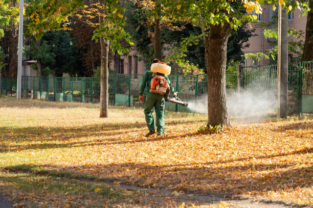 Best Flea Control Services  in Poplar Grove, IL
