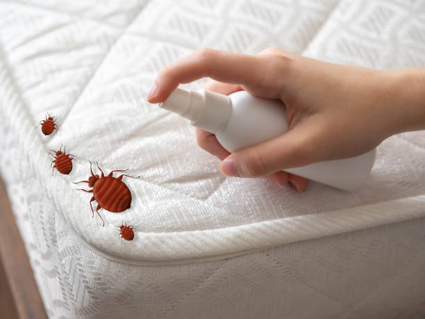 Best Mosquito Control Services  in Poplar Grove, IL