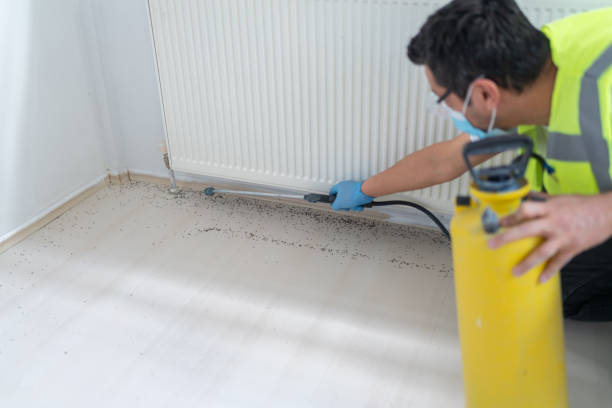 Best Pest Removal Services  in Poplar Grove, IL