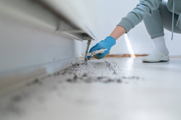 Best Commercial Pest Control Services  in Poplar Grove, IL