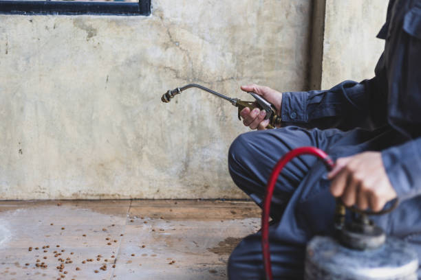 Best Pest Inspection Near Me  in Poplar Grove, IL