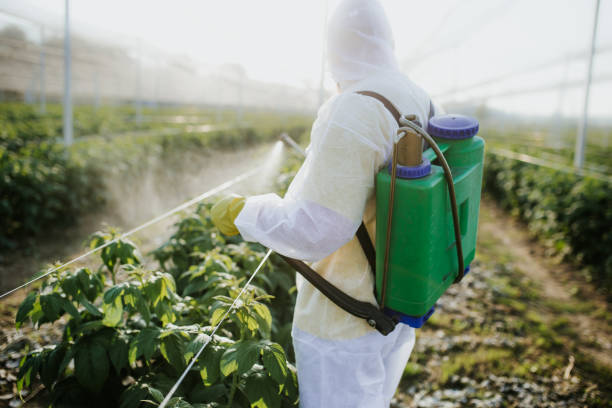 Professional Pest Control in Poplar Grove, IL